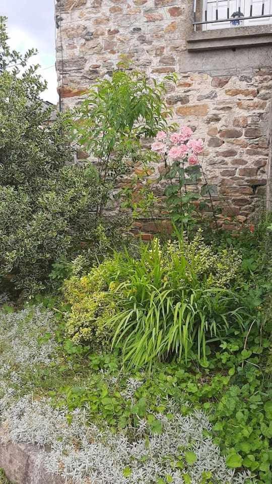 Casa Do Hiebra Alojamiento Rural Ribeira Sacra Castroncelos ภายนอก รูปภาพ