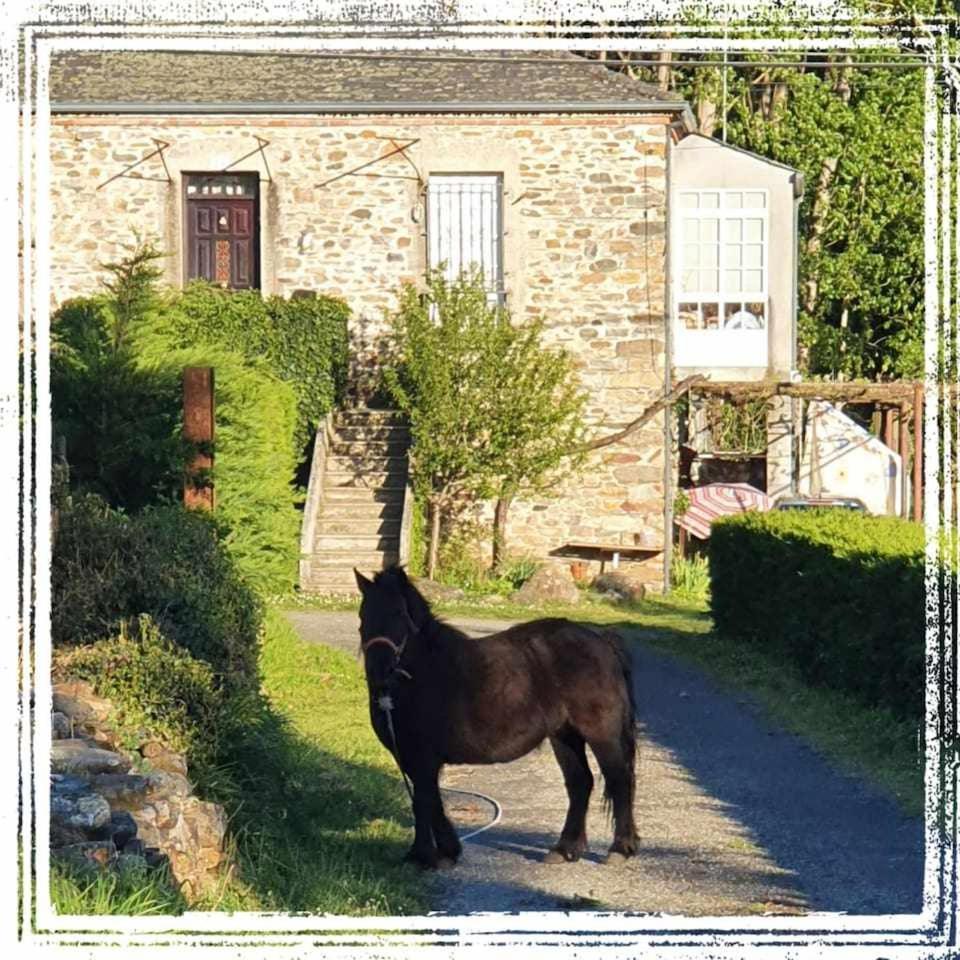 Casa Do Hiebra Alojamiento Rural Ribeira Sacra Castroncelos ภายนอก รูปภาพ