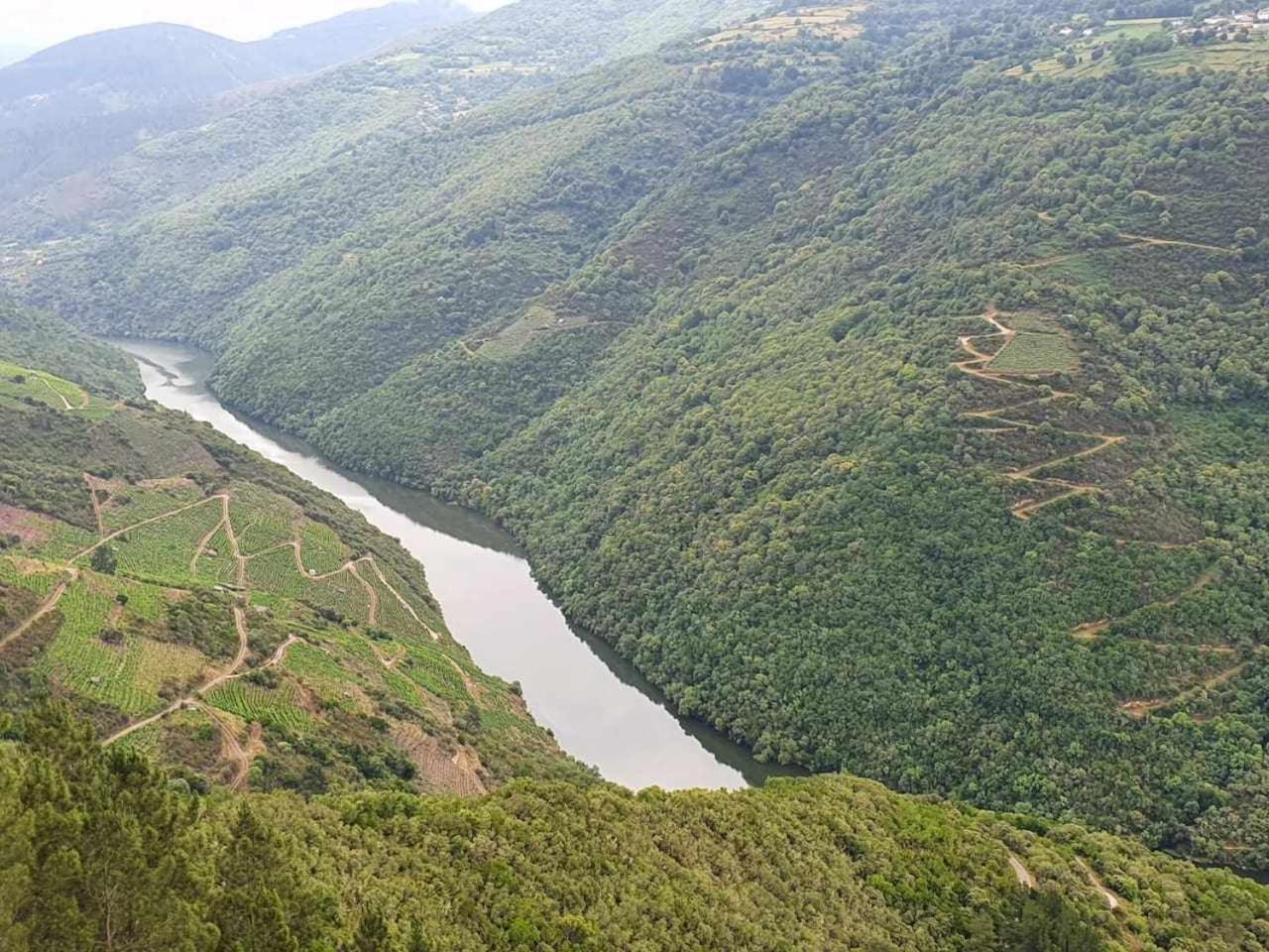 Casa Do Hiebra Alojamiento Rural Ribeira Sacra Castroncelos ภายนอก รูปภาพ