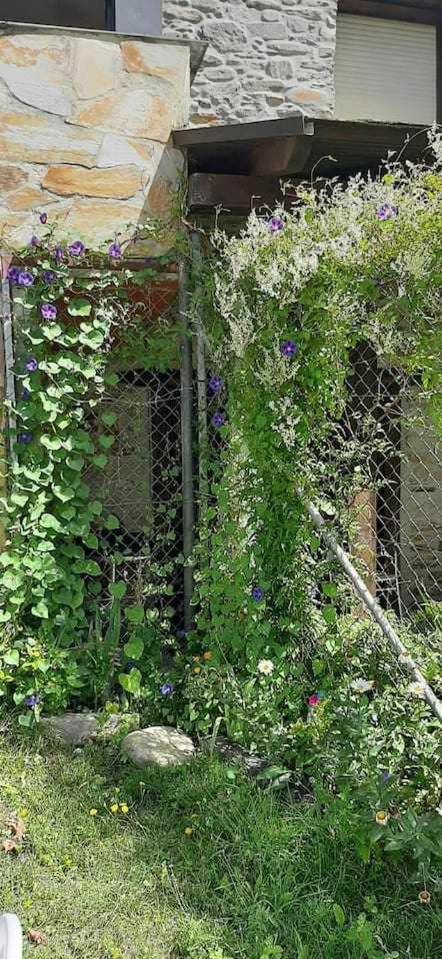Casa Do Hiebra Alojamiento Rural Ribeira Sacra Castroncelos ภายนอก รูปภาพ