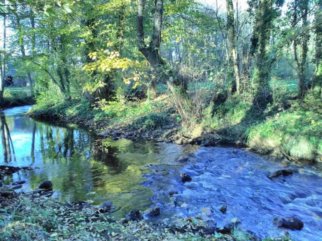 Casa Do Hiebra Alojamiento Rural Ribeira Sacra Castroncelos ภายนอก รูปภาพ
